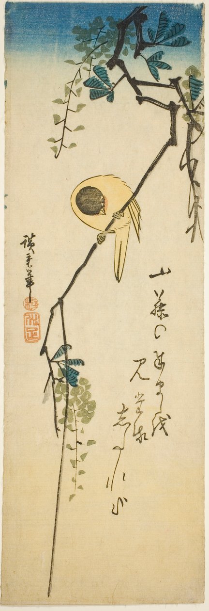 Fugl på silkeaktig blåregn av Utagawa Hiroshige