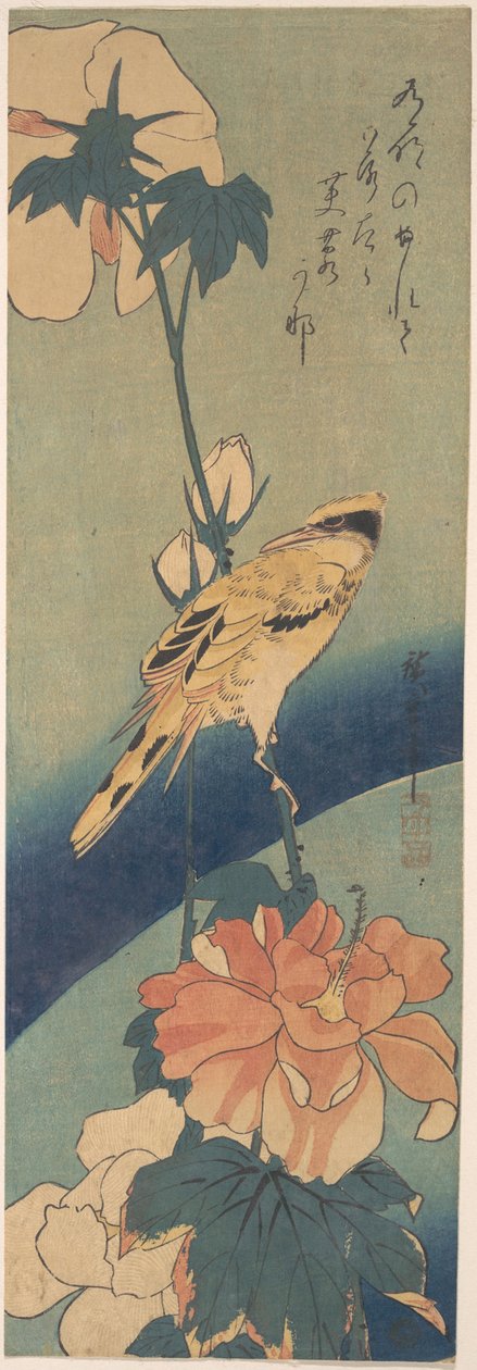 Schwarzrückenpirol auf einem Hibiskusstängel av Utagawa Hiroshige