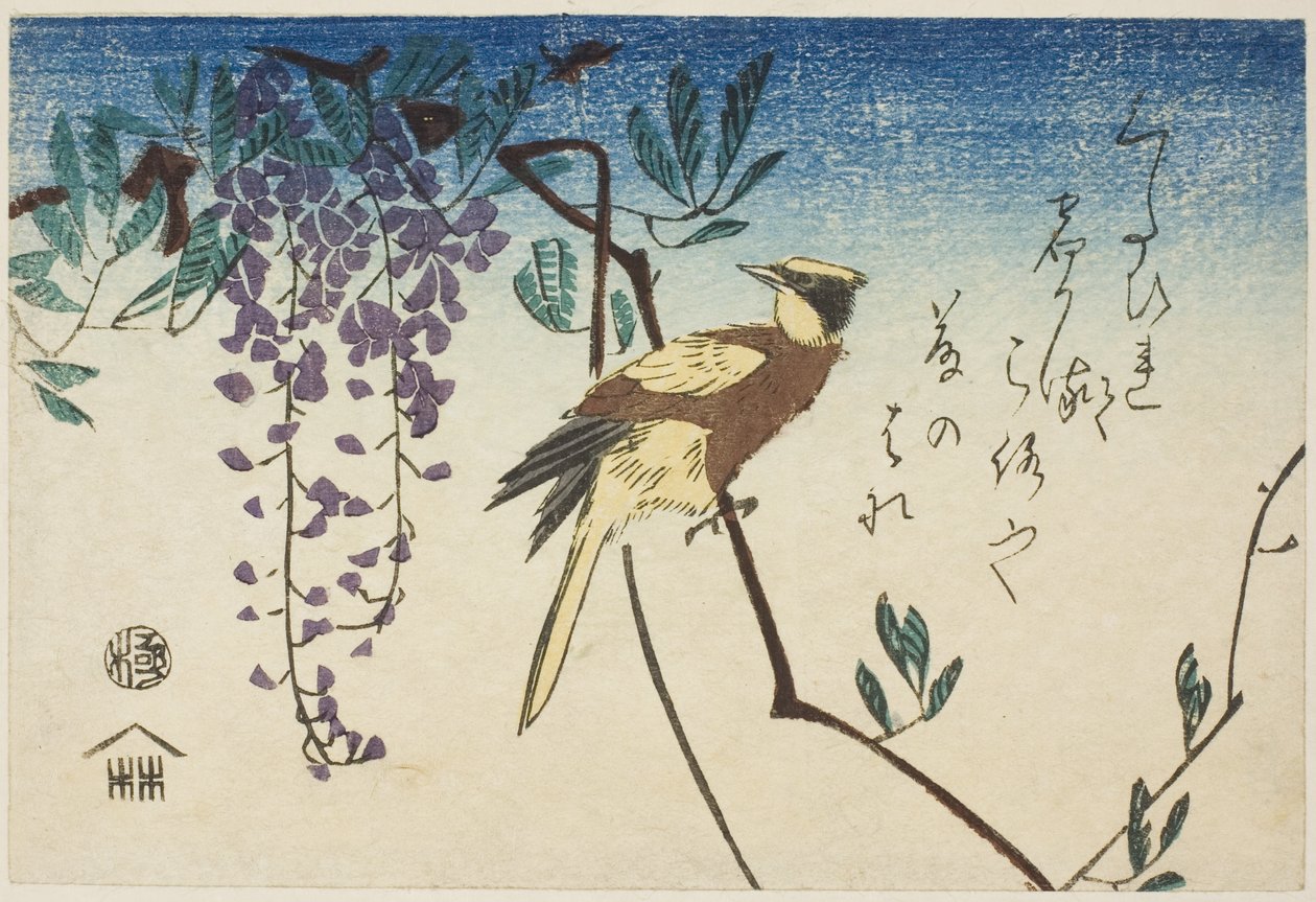 Svartnakket oriole og blåregn av Utagawa Hiroshige