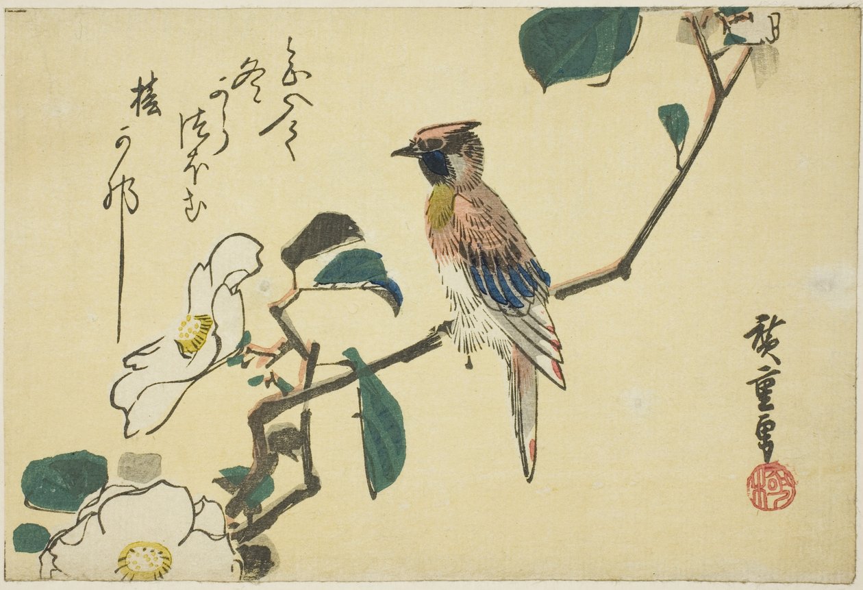 Svartnakket oriole på kameliagren av Utagawa Hiroshige