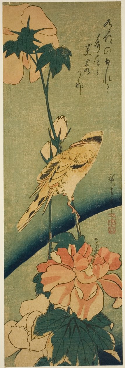 Svartnakket oriole på hibiskus av Utagawa Hiroshige