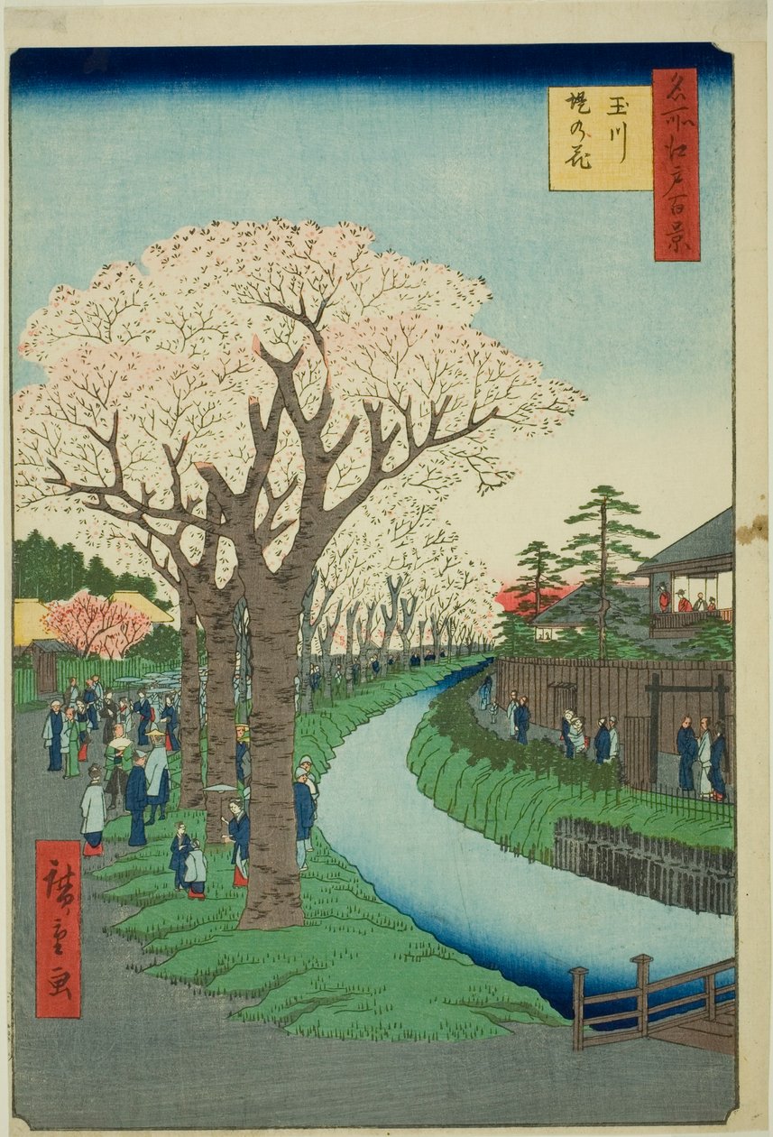 Bosso MS sound te tamari ver bildeversjon k overflate t (Tamagawa Tsutsumi no Hana), fra serien "Ridge d re d fa net view ws f Edo (One Hundred Famous Views of Edo) )" av Utagawa Hiroshige