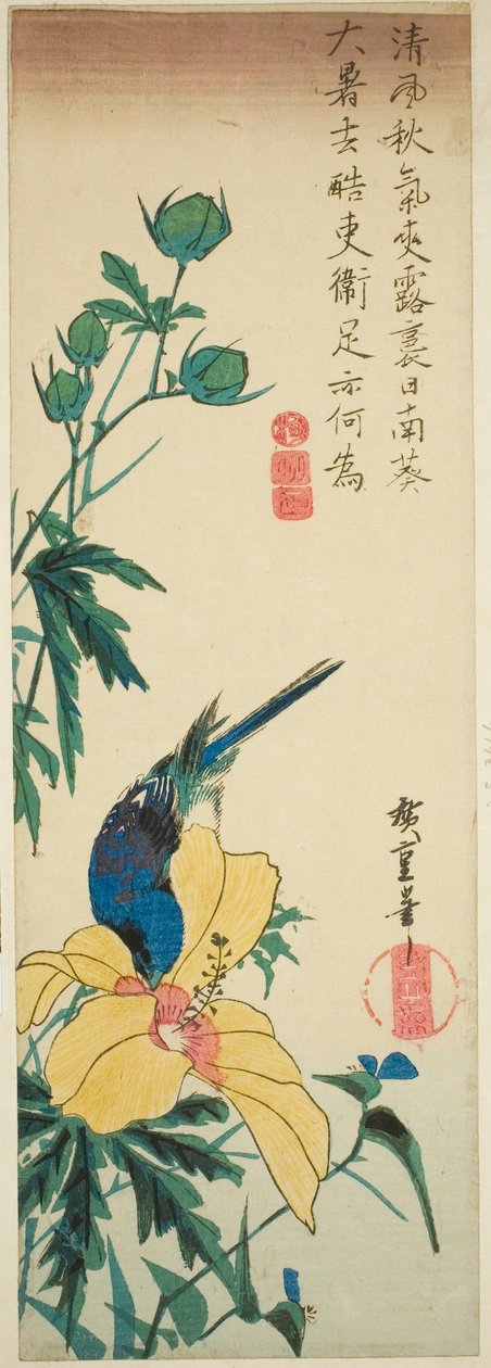 Blå fugl og hibiskus av Utagawa Hiroshige