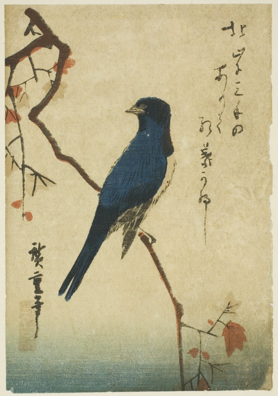Blå fugl på lønnegren av Utagawa Hiroshige