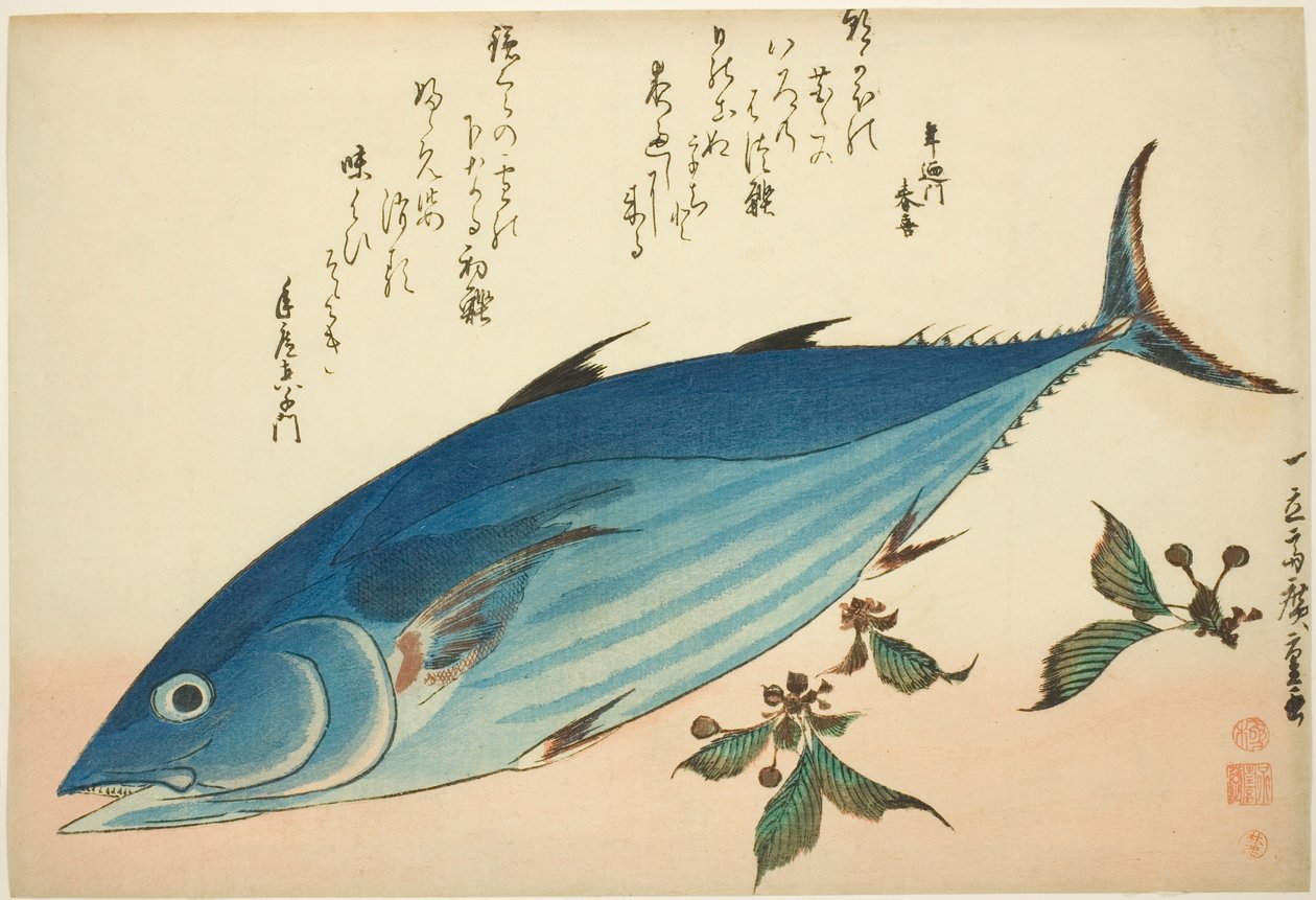 Bonito og saxifrage, fra en serie med fisk uten tittel av Utagawa Hiroshige