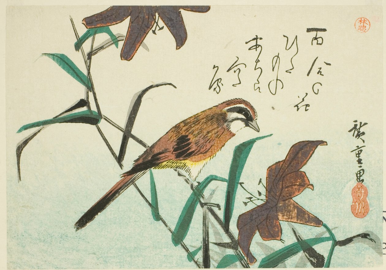 Bunting og liljer av Utagawa Hiroshige