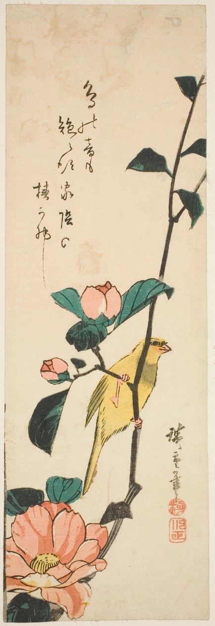 Kanarifugler og kameliaer av Utagawa Hiroshige