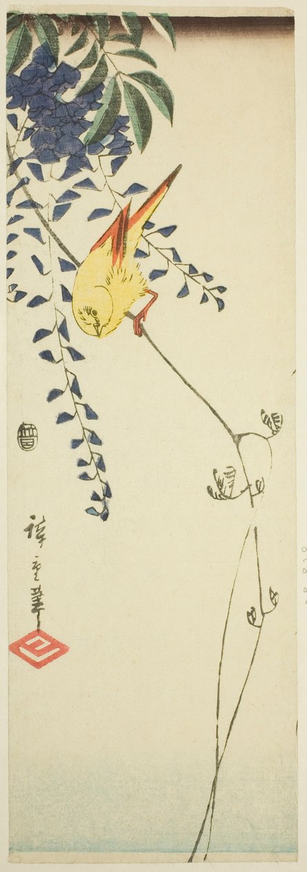 Kanarifugl og blåregn av Utagawa Hiroshige