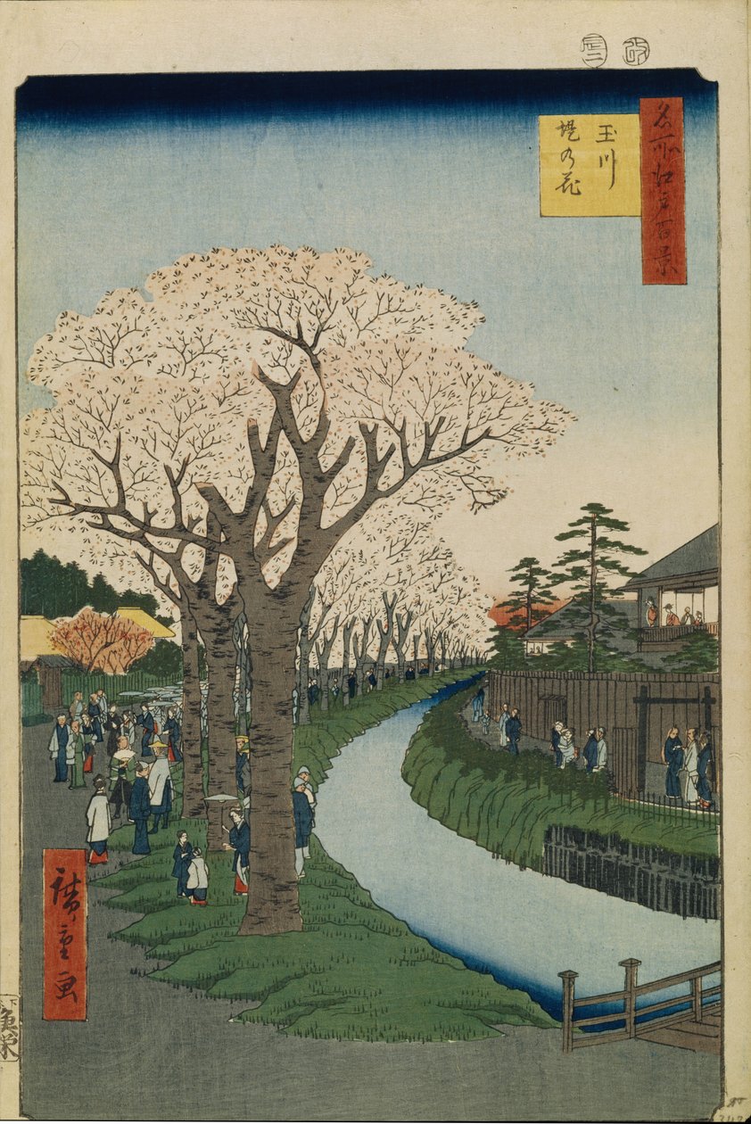 Kirsebærblomster ved bredden av Tama-elven Hundre kjente utsikter over Edo, 1856-1858 av Utagawa Hiroshige