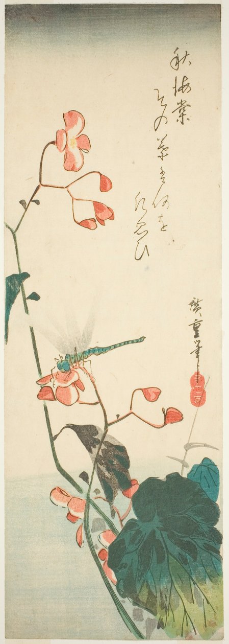 Dragonfly og begonia av Utagawa Hiroshige