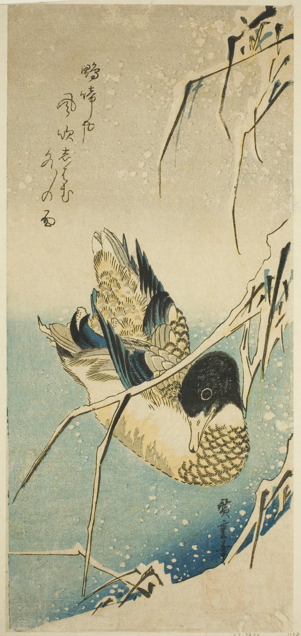 Ender i snø av Utagawa Hiroshige