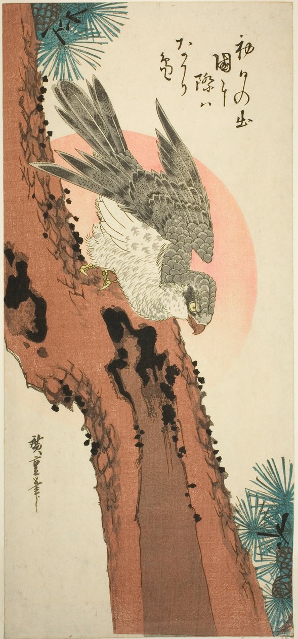 Falk på et furutre med den stigende solen av Utagawa Hiroshige