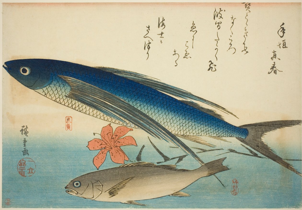 Flying fish og Ichimochi, fra en serie med fisk uten tittel av Utagawa Hiroshige