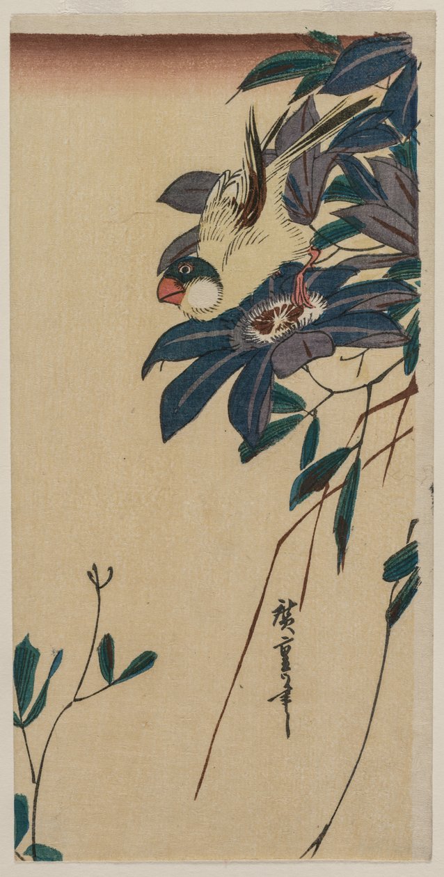 Grosbeak og Clematis av Utagawa Hiroshige