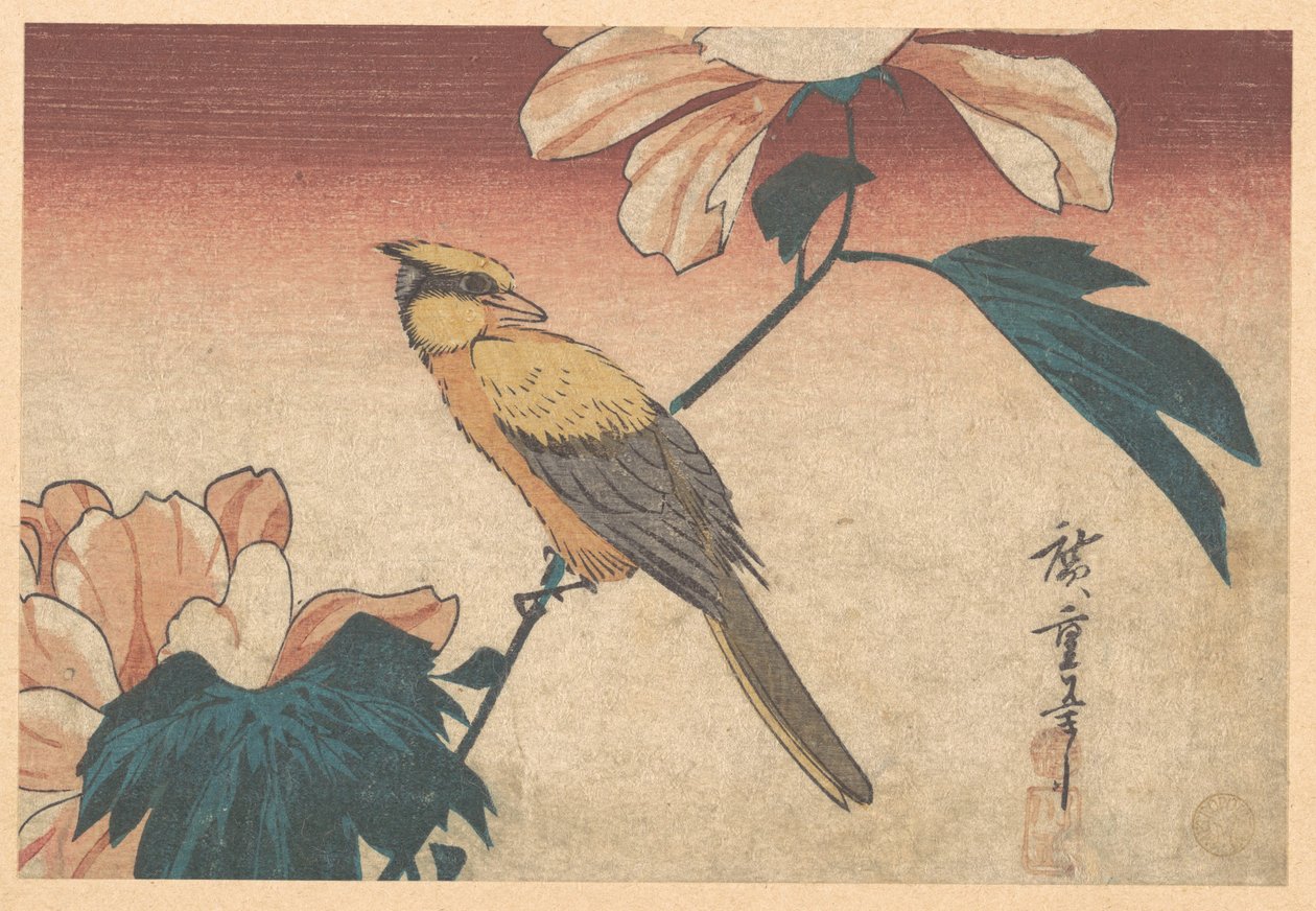 Hibiscus mutabilis og nøtteskrike av Utagawa Hiroshige