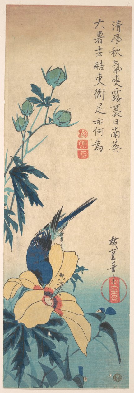 Hibiskus og blåfugl av Utagawa Hiroshige