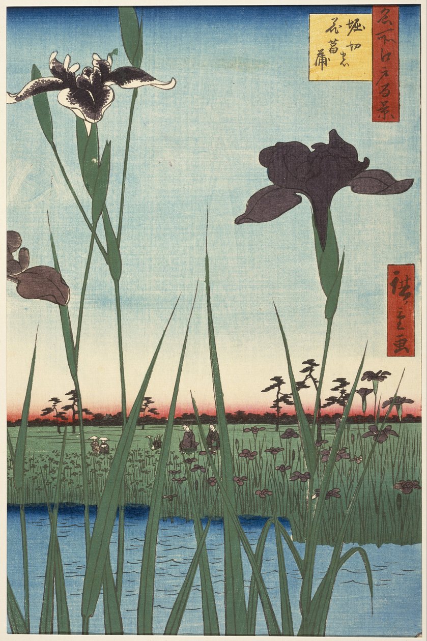 Horikiri Iris Garden (Horikiri no hanshōbu), fra serien One Hundred Famous Views of Edo (Meisho Edo hyakkei) av Utagawa Hiroshige