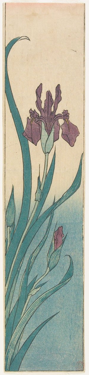 Iris av Utagawa Hiroshige