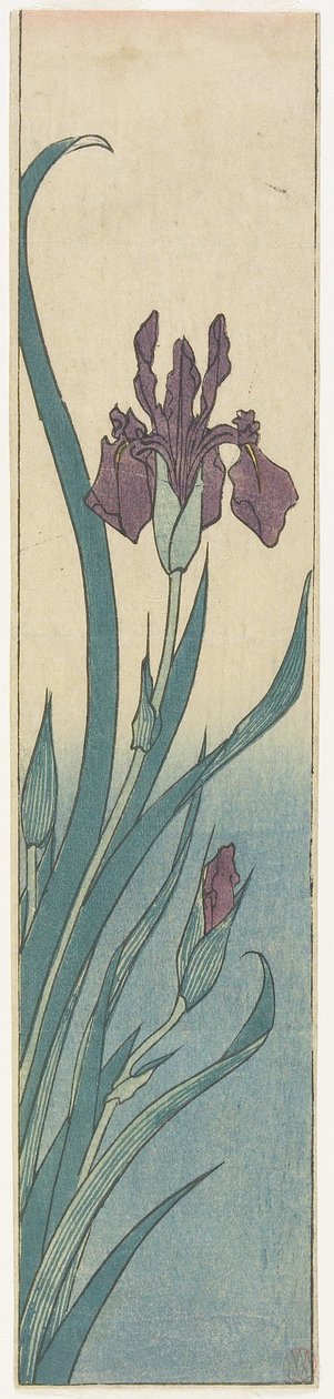 Iris, tidlig på 1800-tallet av Utagawa Hiroshige