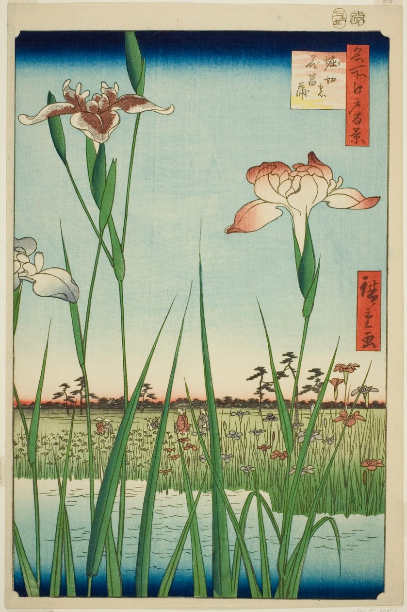 Irase s at Horikiri (Horikiri no Hanadokorobe), fra serien "Ridge dre d fa net s Views of Edo (One Hundred Famous Views of Edo)" av Utagawa Hiroshige