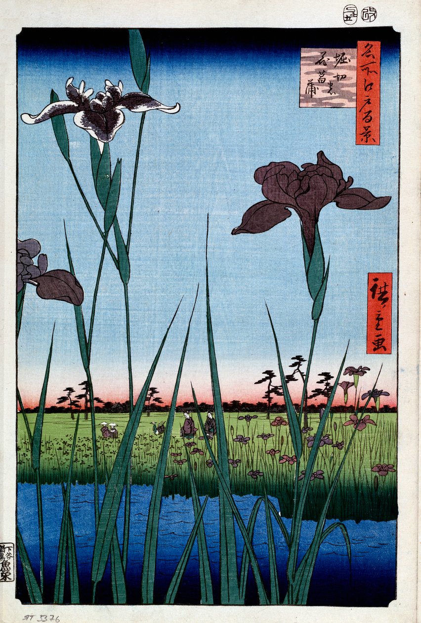 Iriser ved Horikiri ett hundre kjente utsikter over Edo, 1856-1858. av Utagawa Hiroshige