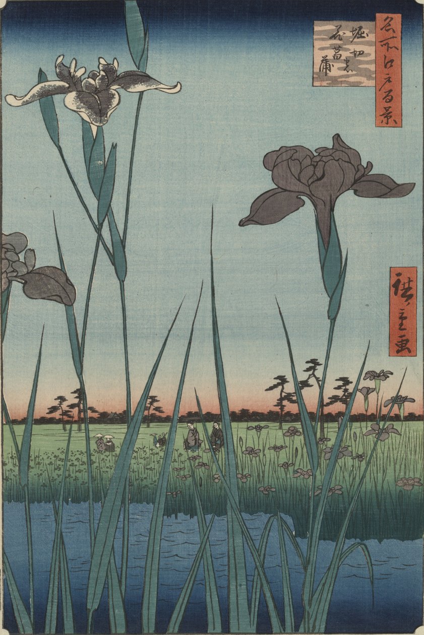 Iris i Horikiri, fra serien Hundre berømte utsikter over Edo av Utagawa Hiroshige
