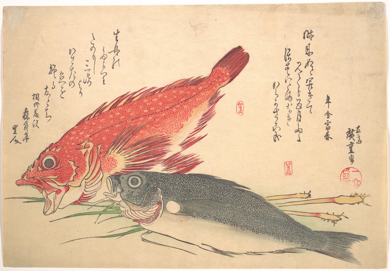 Isaki- og Kasago-fisk, fra serien Uozukushi (Alle slags fisk) av Utagawa Hiroshige