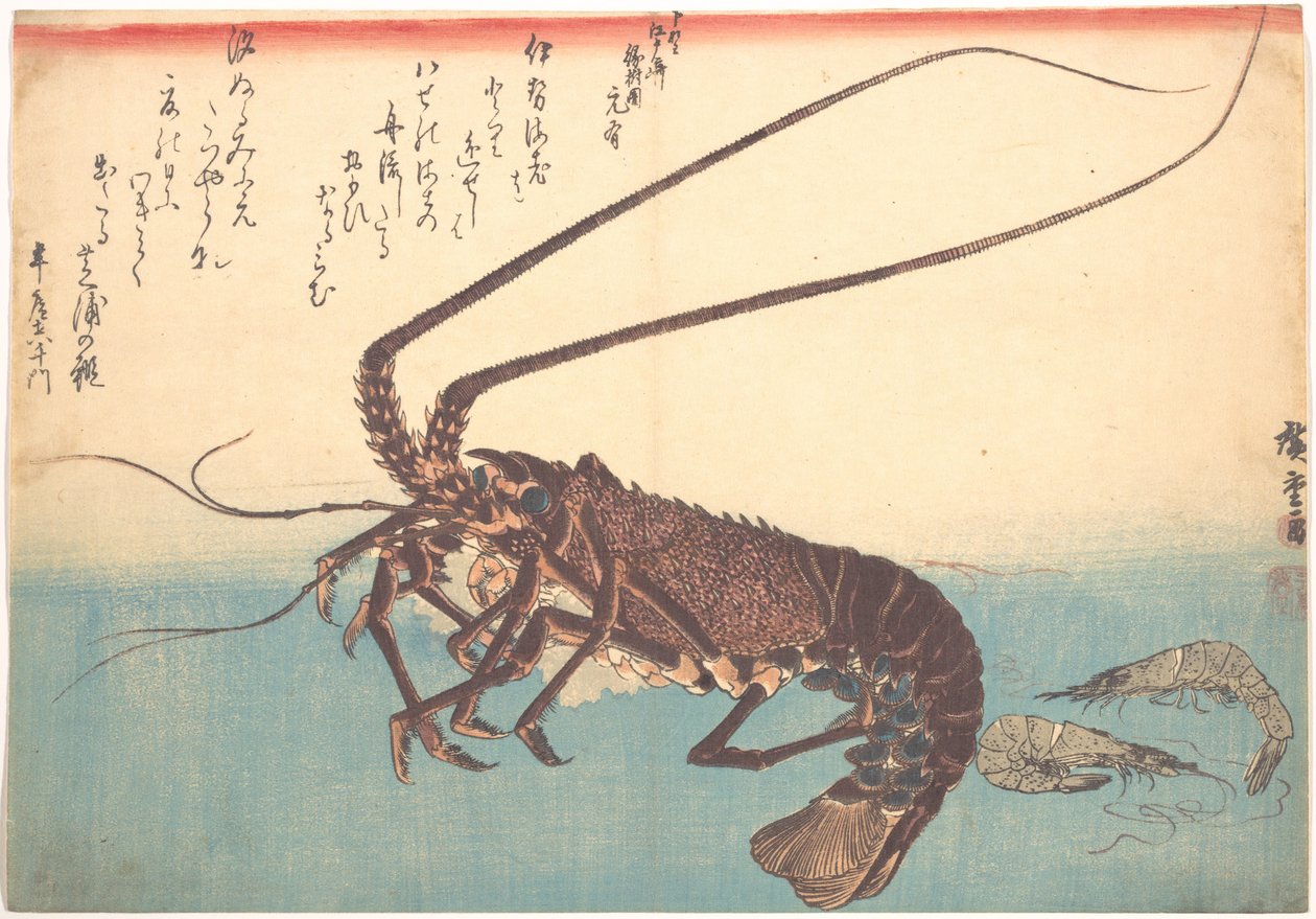 Ise-ebi og Shiba-ebi, fra serien Uozukushi (Alle slags fisk) av Utagawa Hiroshige