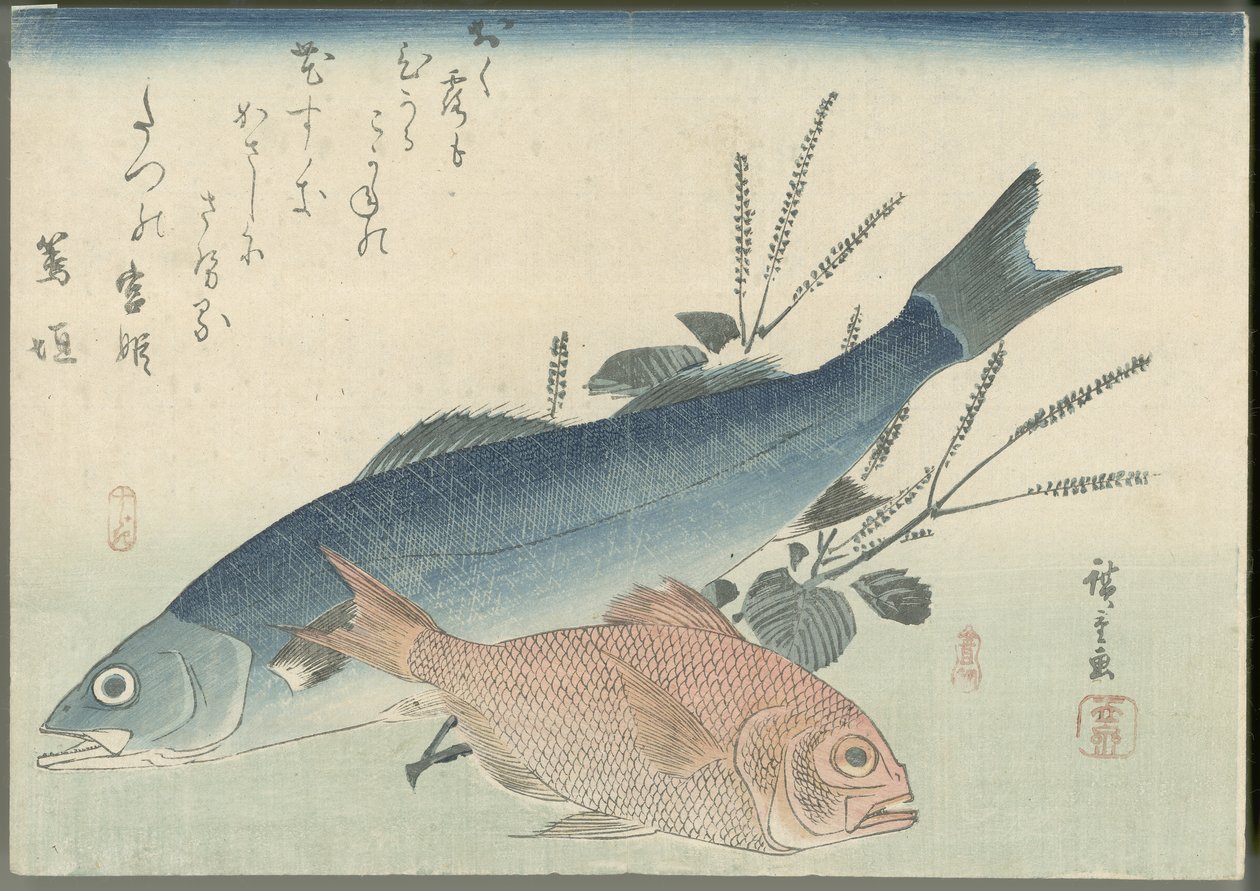 Japansk havabbor, gulløyd havkaruss og shiso-plante av Utagawa Hiroshige