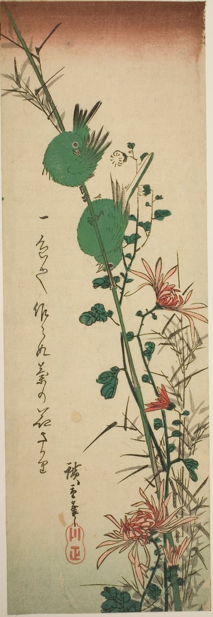 Japanske hvite øyne og krysantemum av Utagawa Hiroshige