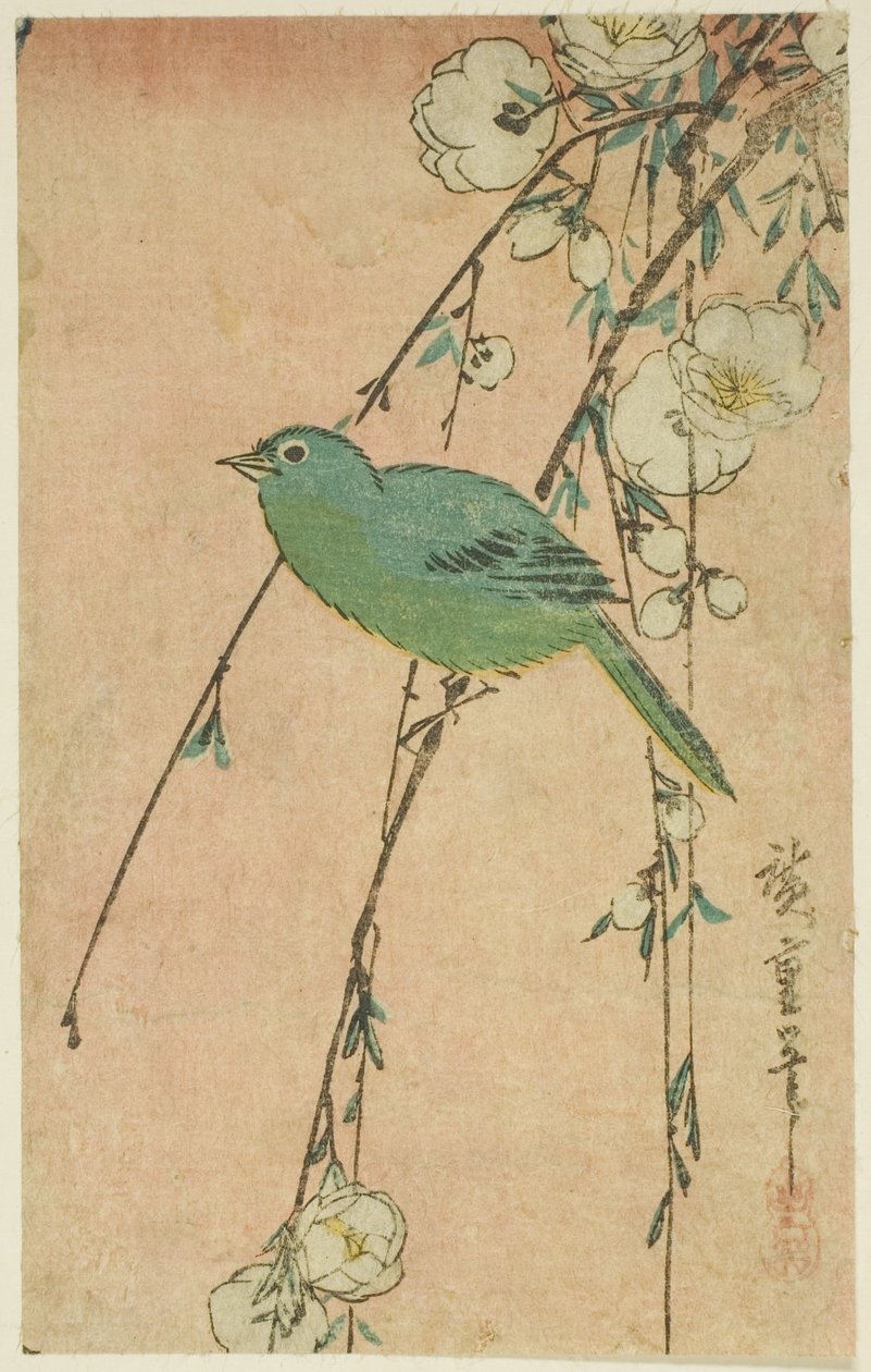 Japansk hvitøyne og gråtende kirsebær av Utagawa Hiroshige