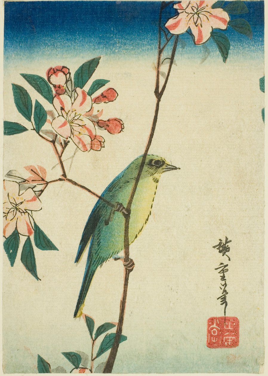Japansk hvitøye på blomstrende gren av Utagawa Hiroshige