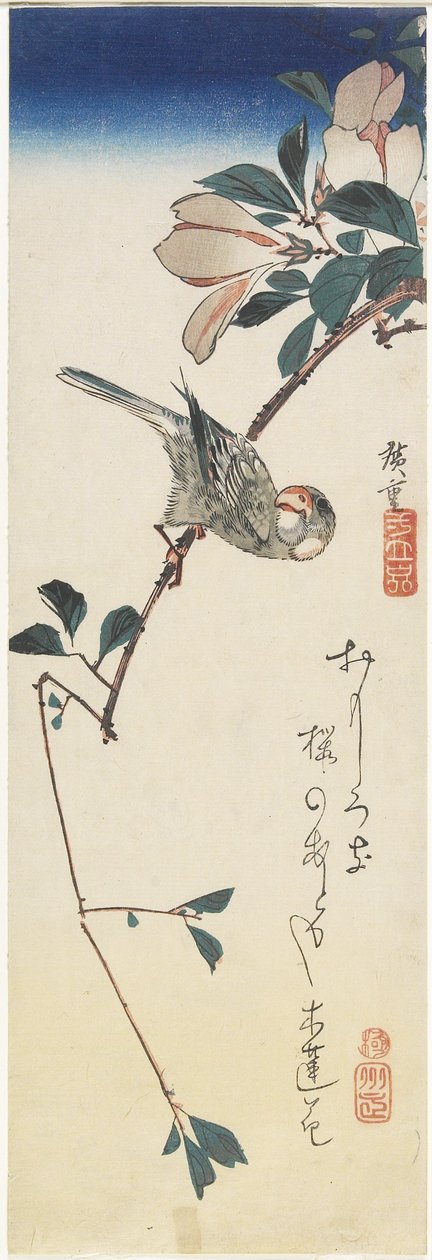 Java Sparrow og Magnolia, 1834-1839 av Utagawa Hiroshige