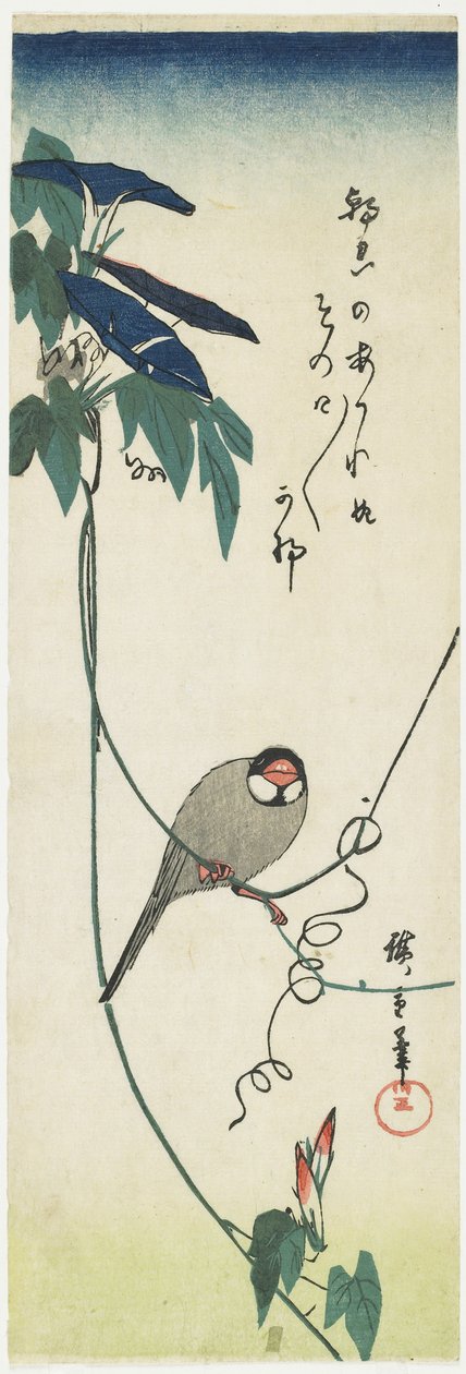 Java Sparrow og Morning Glories, 1834-1839 av Utagawa Hiroshige