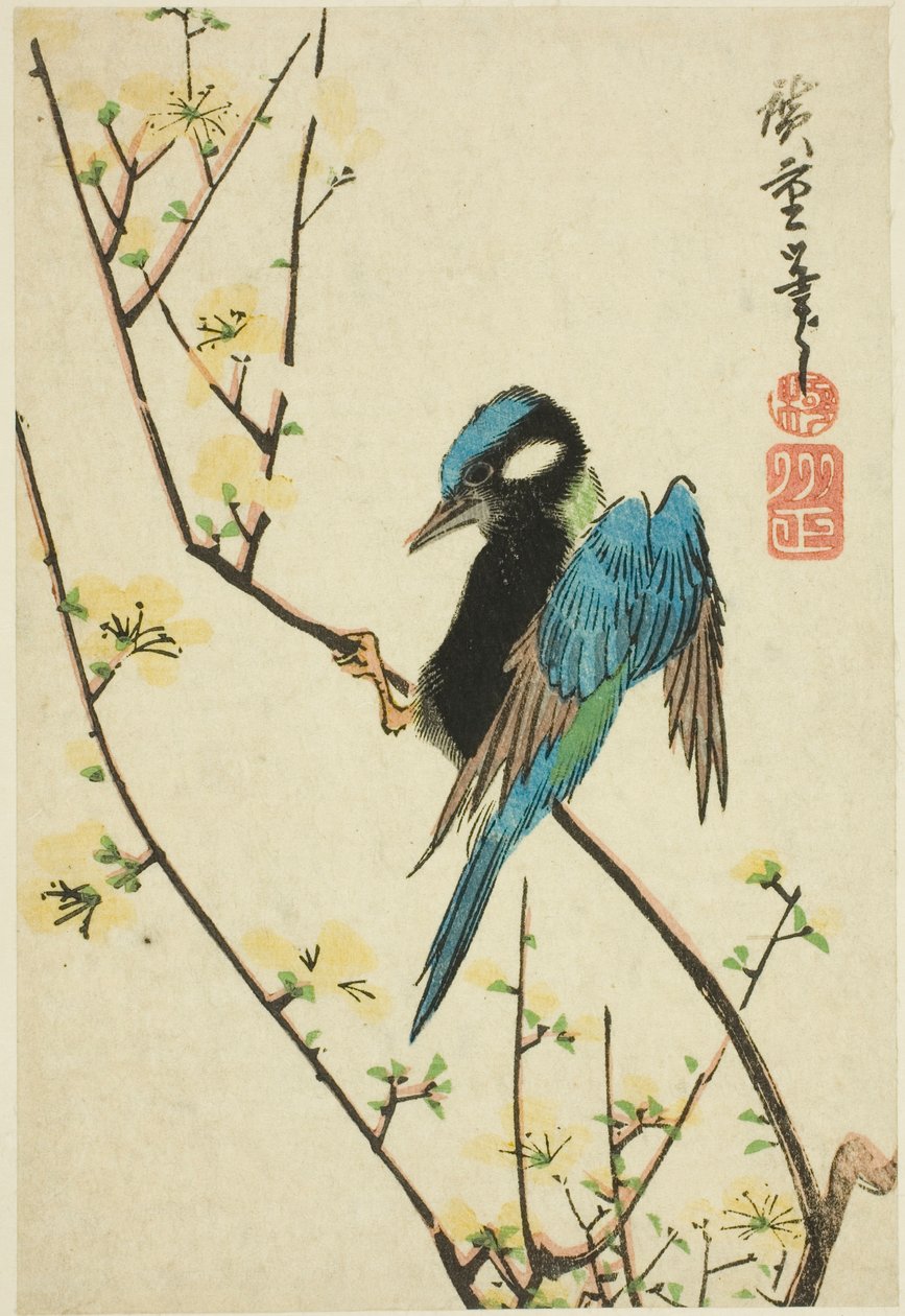 Java spurv på kirsebærgren av Utagawa Hiroshige