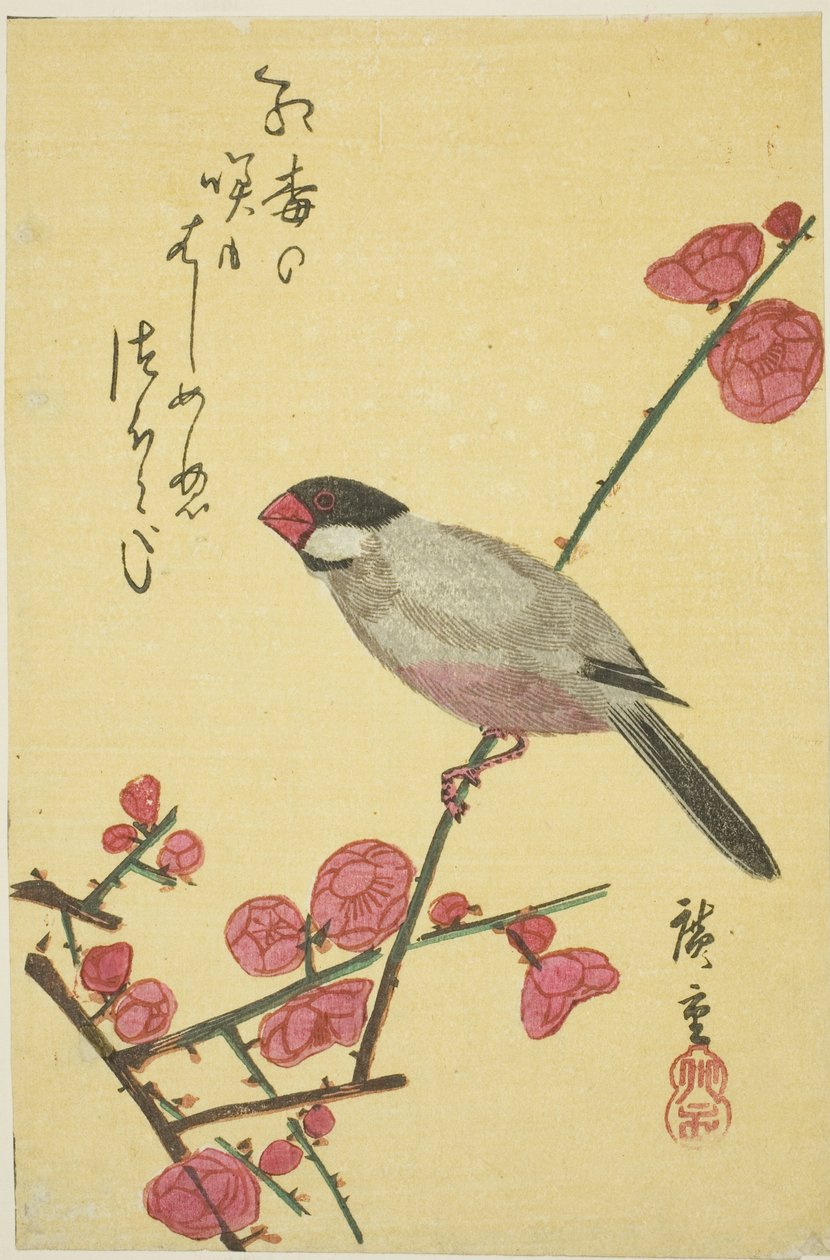 Javaspurv på plommegren av Utagawa Hiroshige