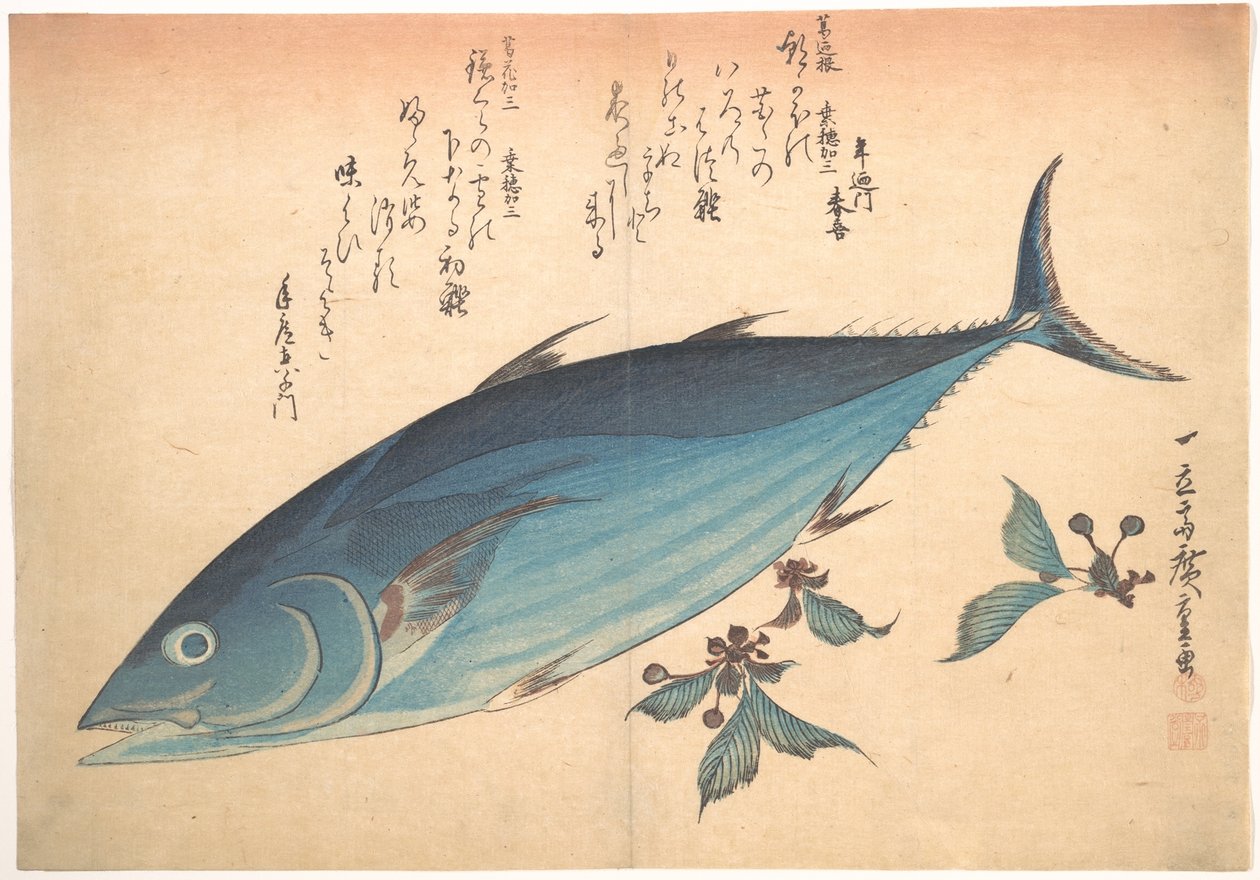 Katsuo-fisk med kirsebærknopper, fra serien Uozukushi (Alle slags fisk) av Utagawa Hiroshige