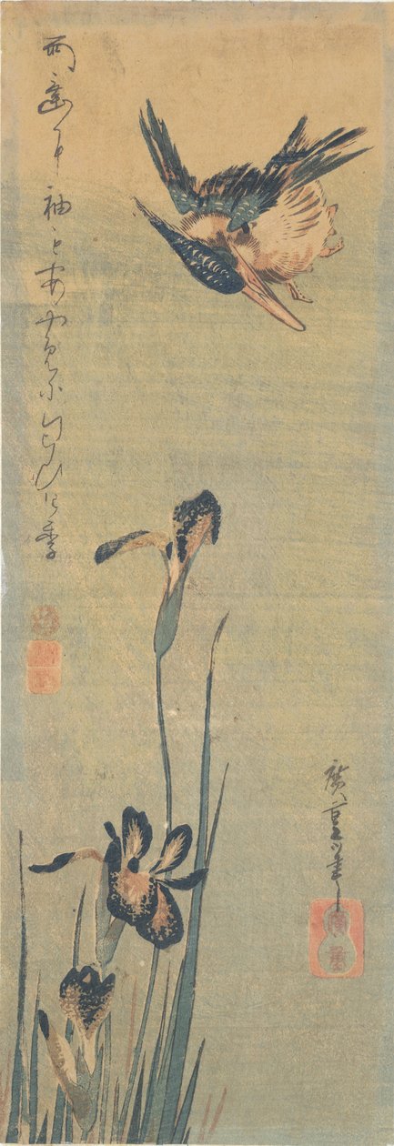 Kingfisher som flyr over en iris av Utagawa Hiroshige