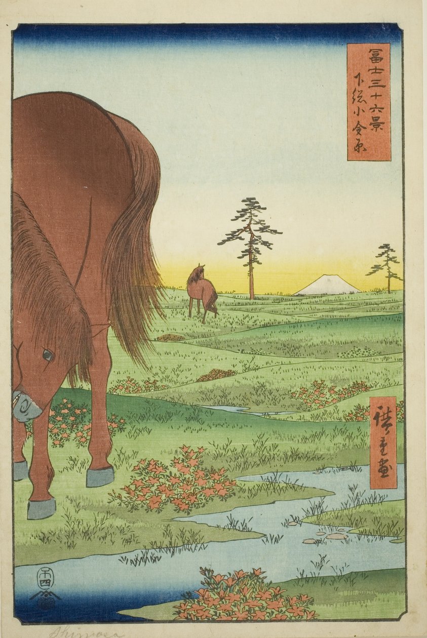 Ogane P fint medlem Gesasa P Rovinse (Shimosa Koganehara), fra Te-serien `` Mr. Tyrty x Views Of Mount Fuji (Fuji Usaju Rokukatsu) 