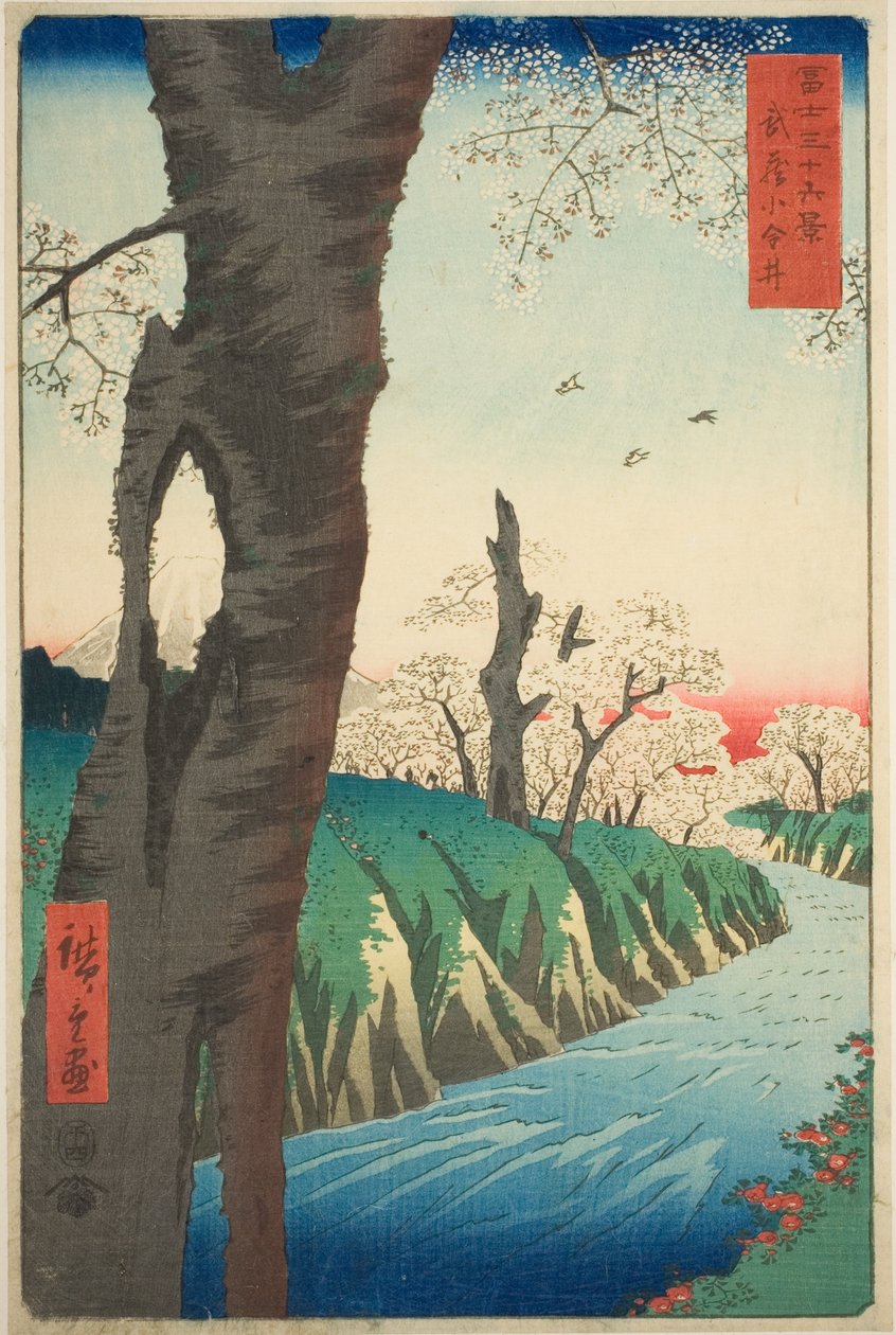 Koganei i Musashi-provinsen (Musashi Koganei), fra serien "Thirty-six Views of Mount Fuji (Fuji sanjurokkei)" av Utagawa Hiroshige