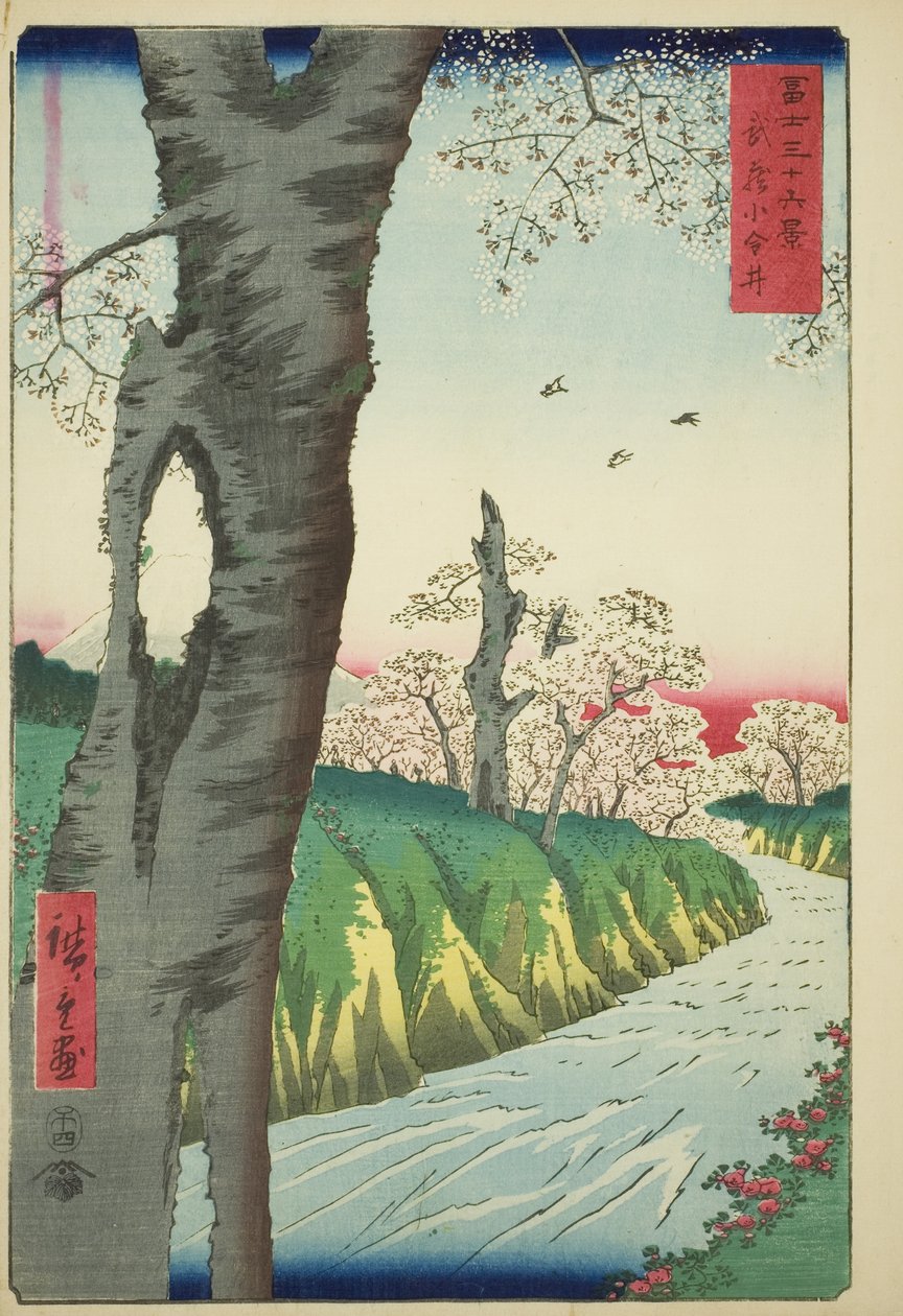 Koganei i Musashi-provinsen (Musashi Koganei), fra serien "Thirty-six Views of Mount Fuji (Fuji sanjurokkei)" av Utagawa Hiroshige