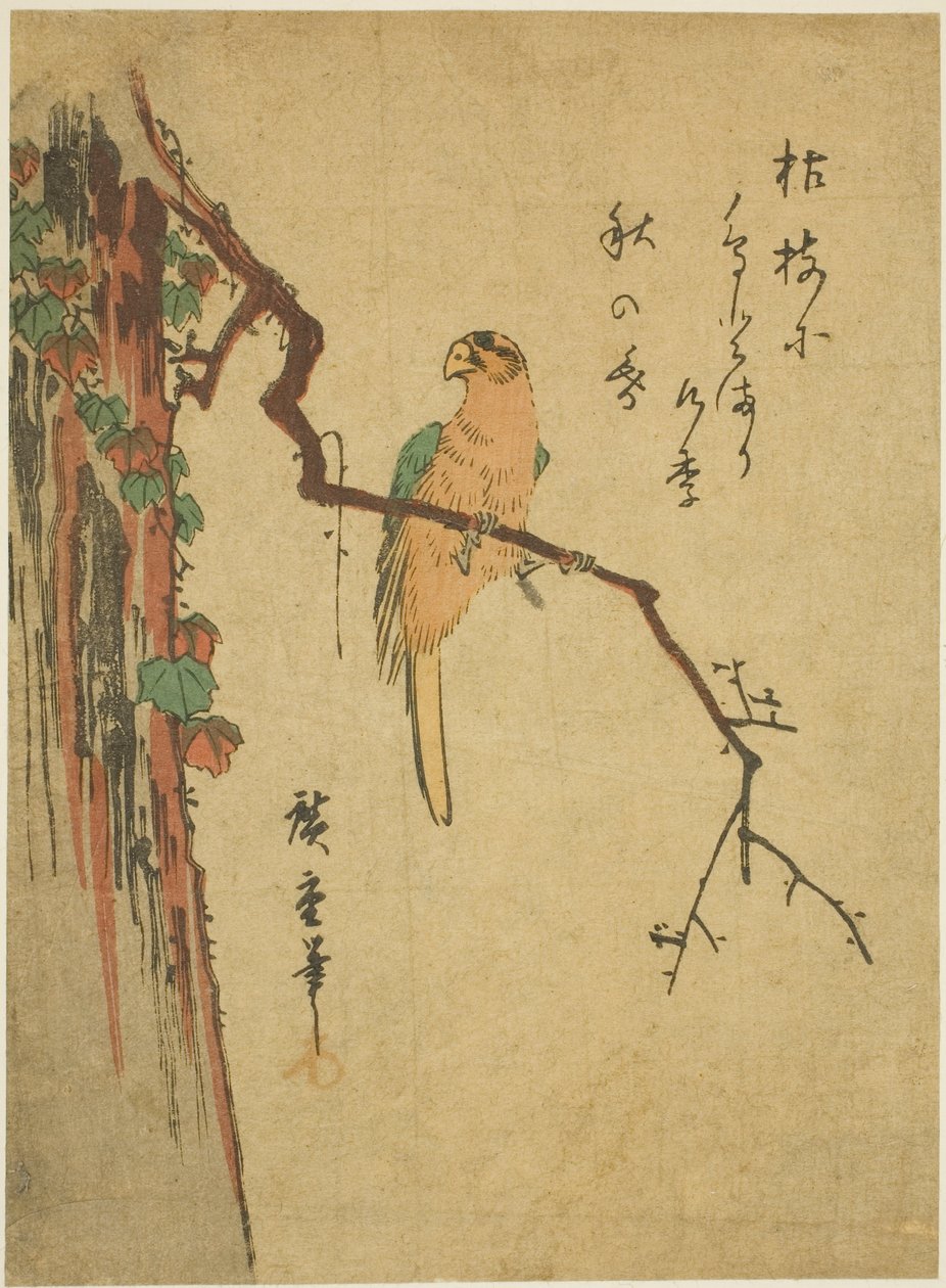 Ara på eføy-dekket tre av Utagawa Hiroshige