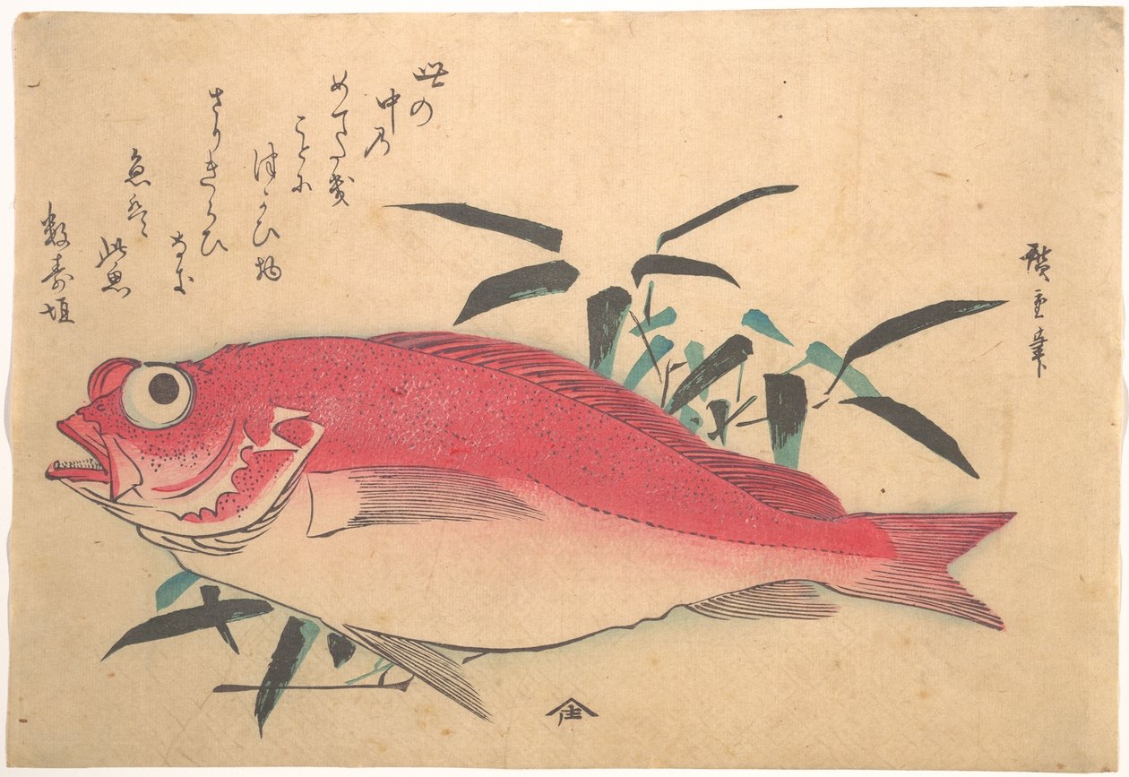 Medetai-fisk og Sasaki-bambus, fra serien Uozukushi (Alle slags fisk) av Utagawa Hiroshige