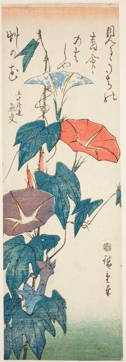 Morning Glories av Utagawa Hiroshige