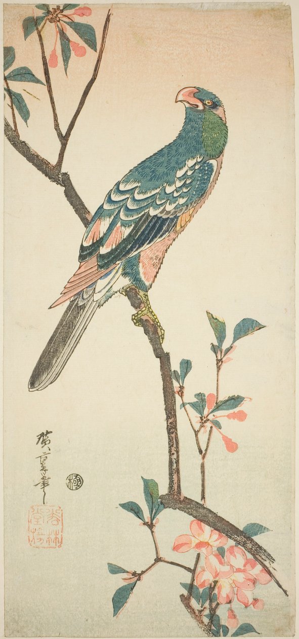 Papegøye på en blomstrende gren av Utagawa Hiroshige