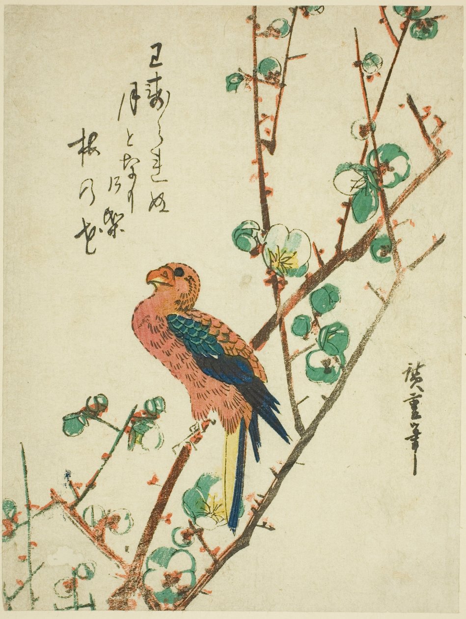 Papegøye på plommetre av Utagawa Hiroshige