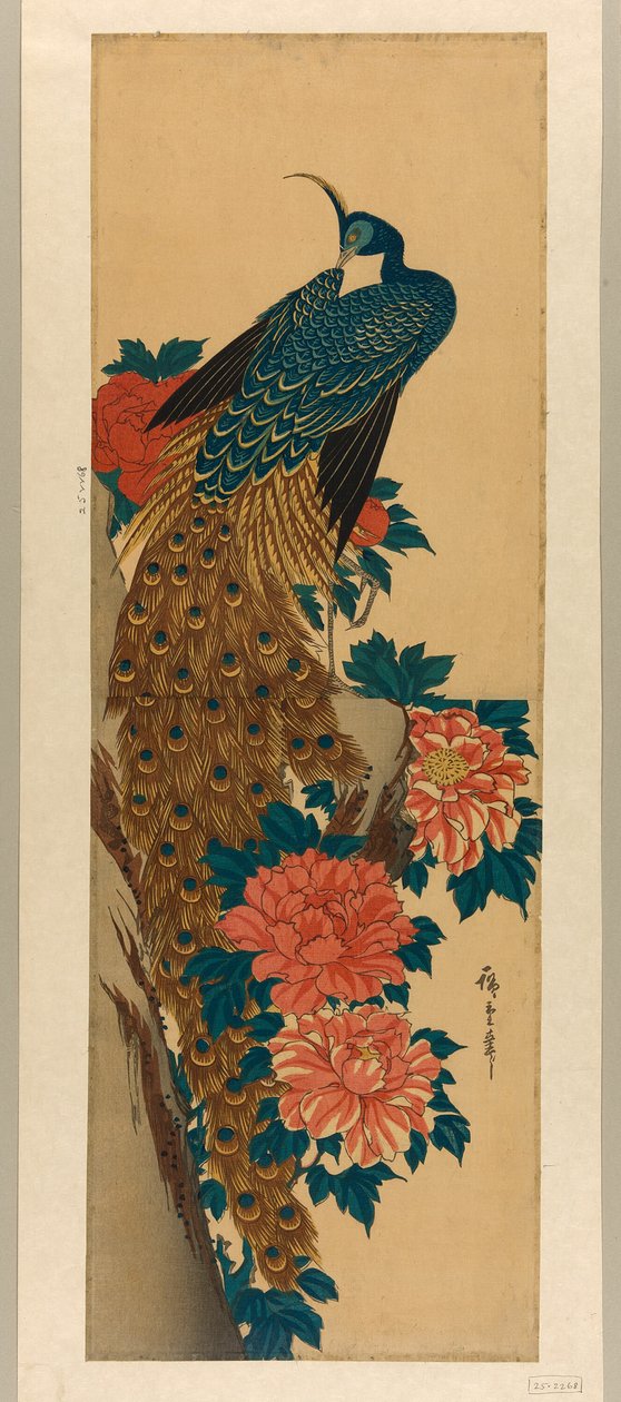 Påfugl og peoner av Utagawa Hiroshige