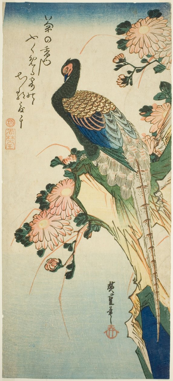 Fasan og krysantemum av Utagawa Hiroshige