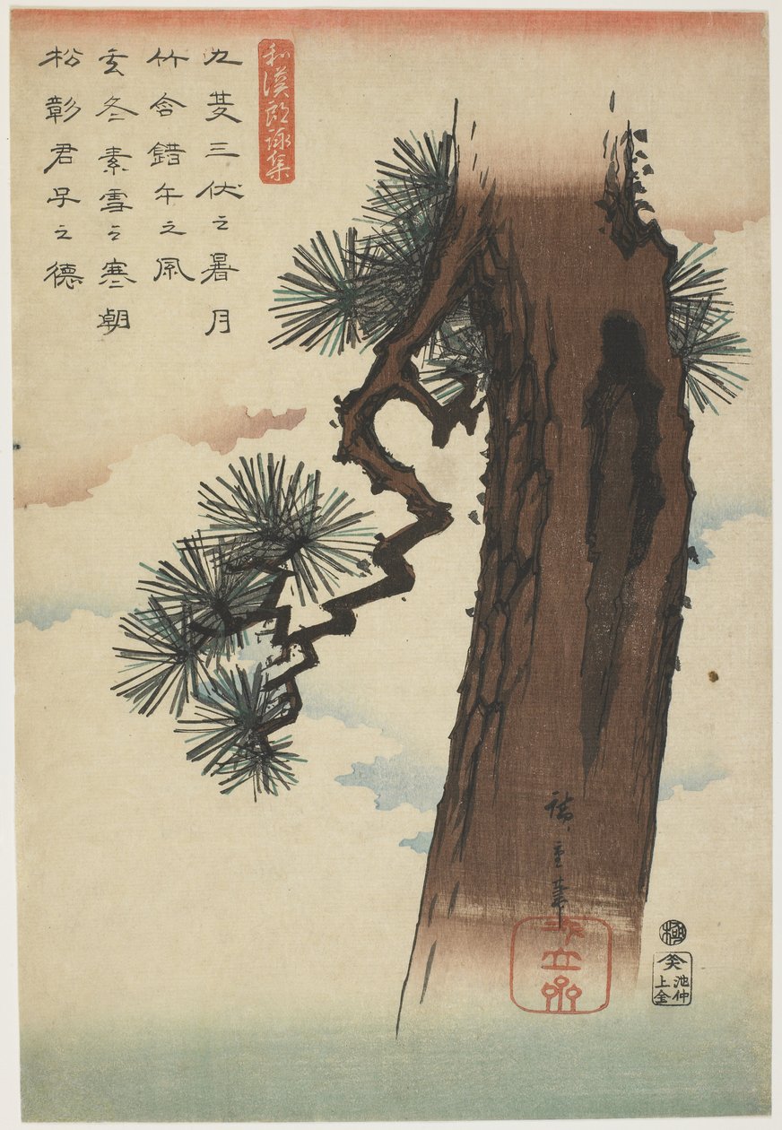Pine Tree, 1837-1844 (treblokktrykk i farger) av Utagawa Hiroshige