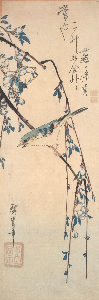Rødflankert blåhale på en kirsebærgren av Utagawa Hiroshige